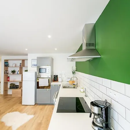 Flora Center 科希策